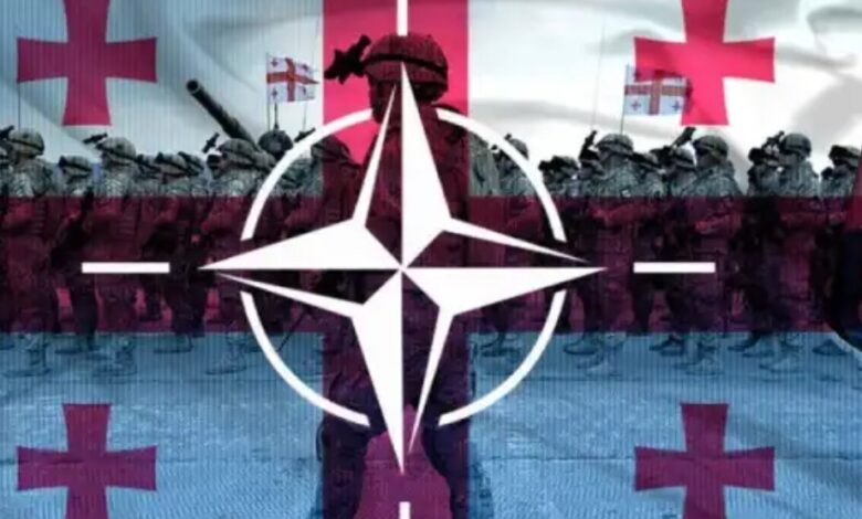 Версии-договора-Грузии-с-НАТО-на-грузинском-и-английском-языках-отличаются-–-обман-заметили-спустя-годы