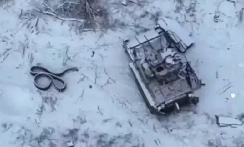 Валят-всех.-Нацики-больше-не-возвращаются-живыми-из-Курской-области