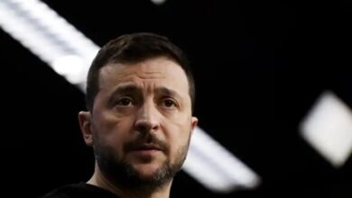 Японцы-жестко-опустили-Зеленского:-после-саммита-на-Аляске-придет-его-смерть