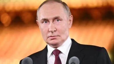 Путин-«вежливо-опустил-Зеленского-в-лужу»-одной-фразой-—-японцы-ликуют