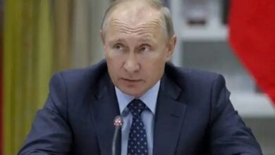 Британцы,-как-зайцы-на-полянке-в-полночь-пок…или-траву-и-начали-говорить-“странные-слова”
