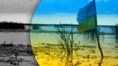 Россия-отрезает-Украину-от-Дуная