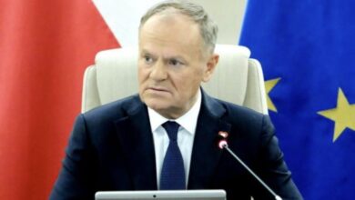 Гиена-обнаглела-—-но-она-всегда-такой-была