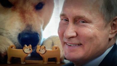 Вот-это-Иран-точно-не-выдержит:-Америке-пришла-помощь,-откуда-не-ждал-никто