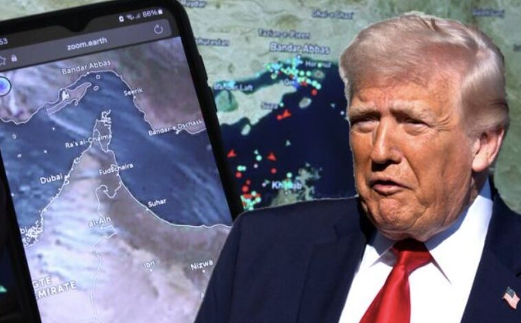 Ормуз-—-это-диагноз:-У-Трампа-снесло-крышу-окончательно