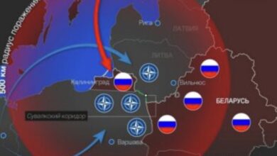 Вильнюс-привлек-внимание-«истошным-лаем»-на-Калининград