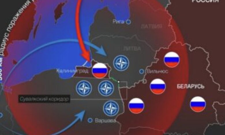 Вильнюс-привлек-внимание-«истошным-лаем»-на-Калининград